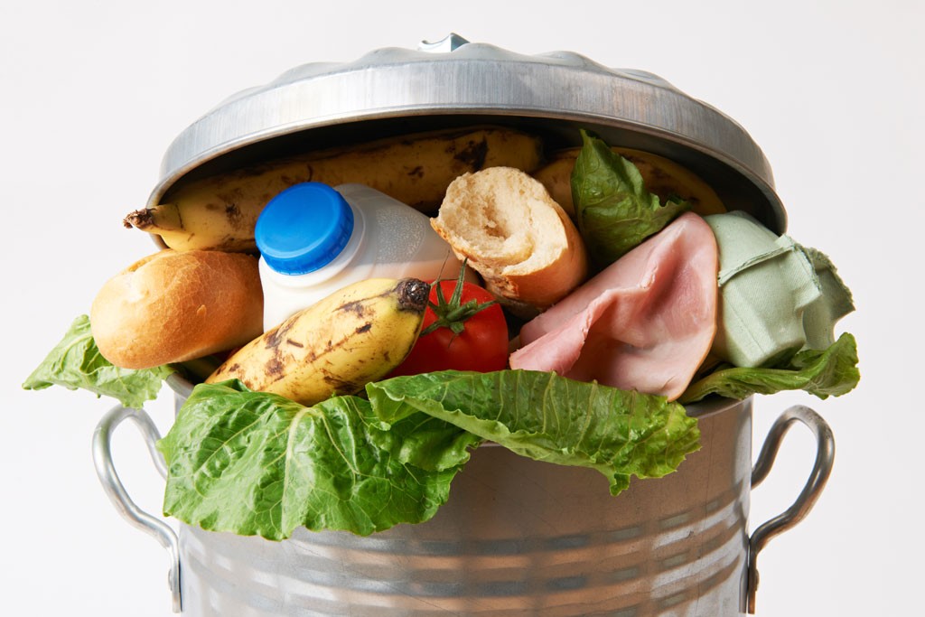 5 conseils de température pour éviter le gaspillage alimentaire