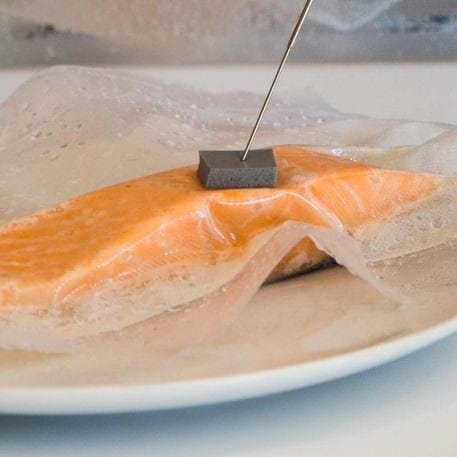 un morceau de saumon sous vide à la mousse Ruban sur une assiette avec un bâton qui en sort de Thermometre.fr.