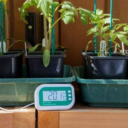Un thermomètre Thermometre.fr est posé sur des plantes dans une serre.